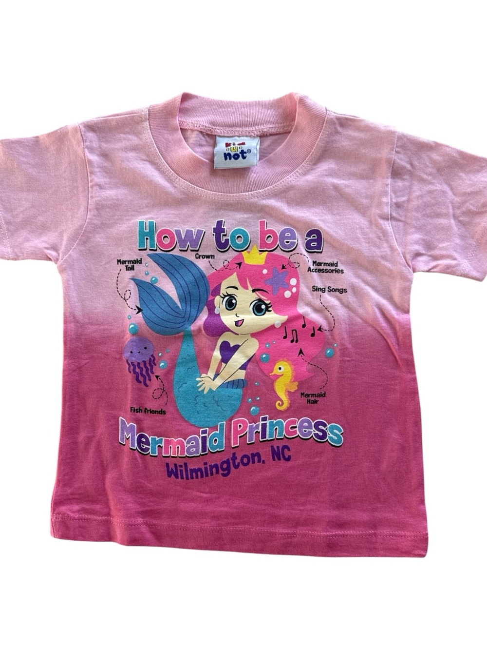 Pink Ombre "How to be a Mermaid Princess" Graphic Tee Wilmington NC 2T